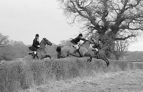 Beaufort Hunt